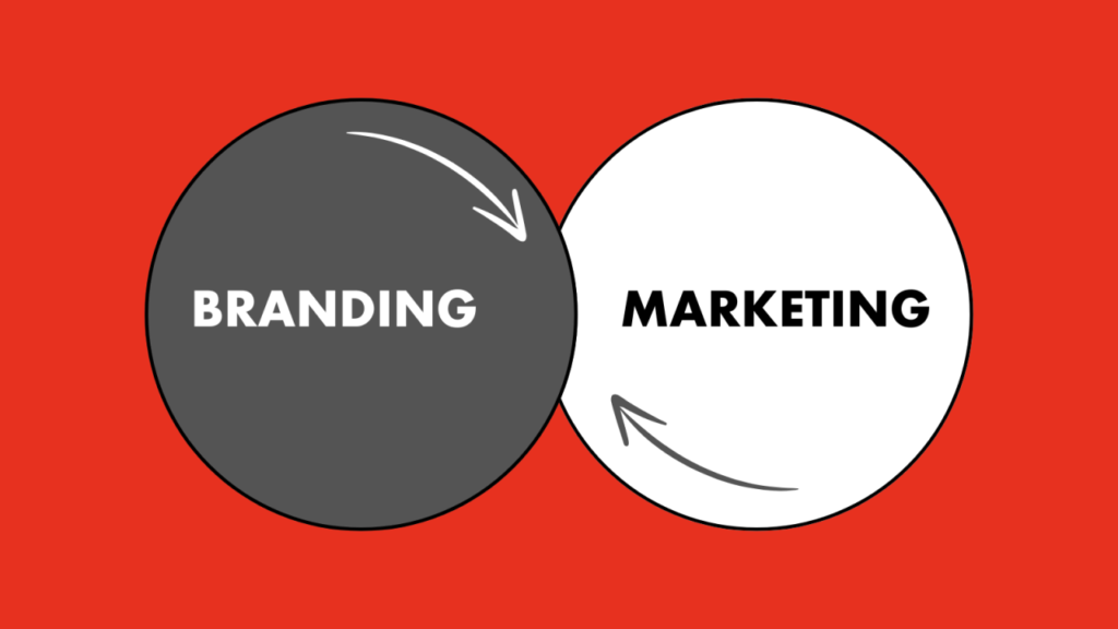 The Ultimate Guide to Modern Marketing and Branding, Advanced Testing, and Continuous Support Strategies by Imagine Web Design in 2026